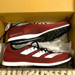 Spikes for track